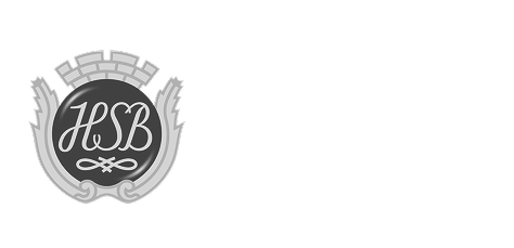 HSB logo - Rifla - Business & Technology Partners